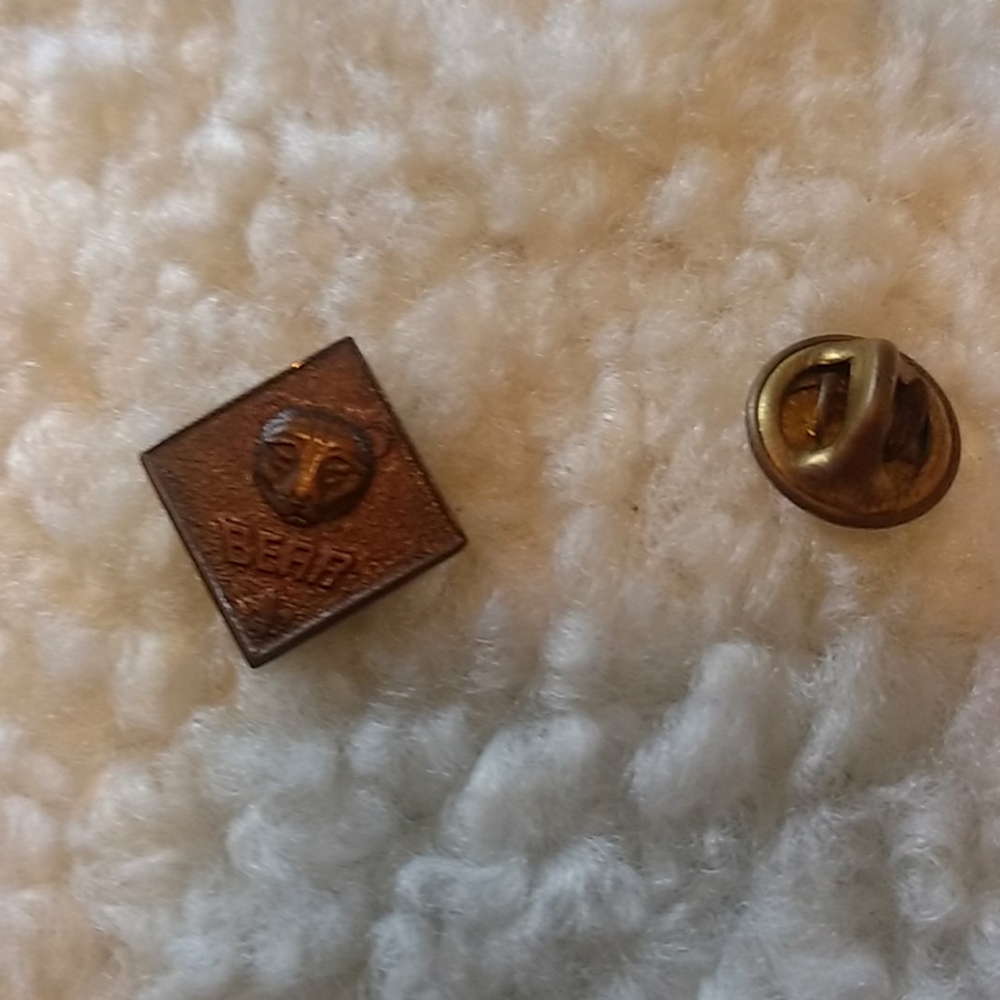 Boy scouts bear pin